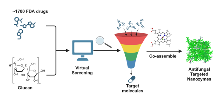 Fig.3 Virtual Screening