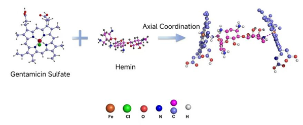Fig.5 The Binding Mode between Hemin and Antibiotics