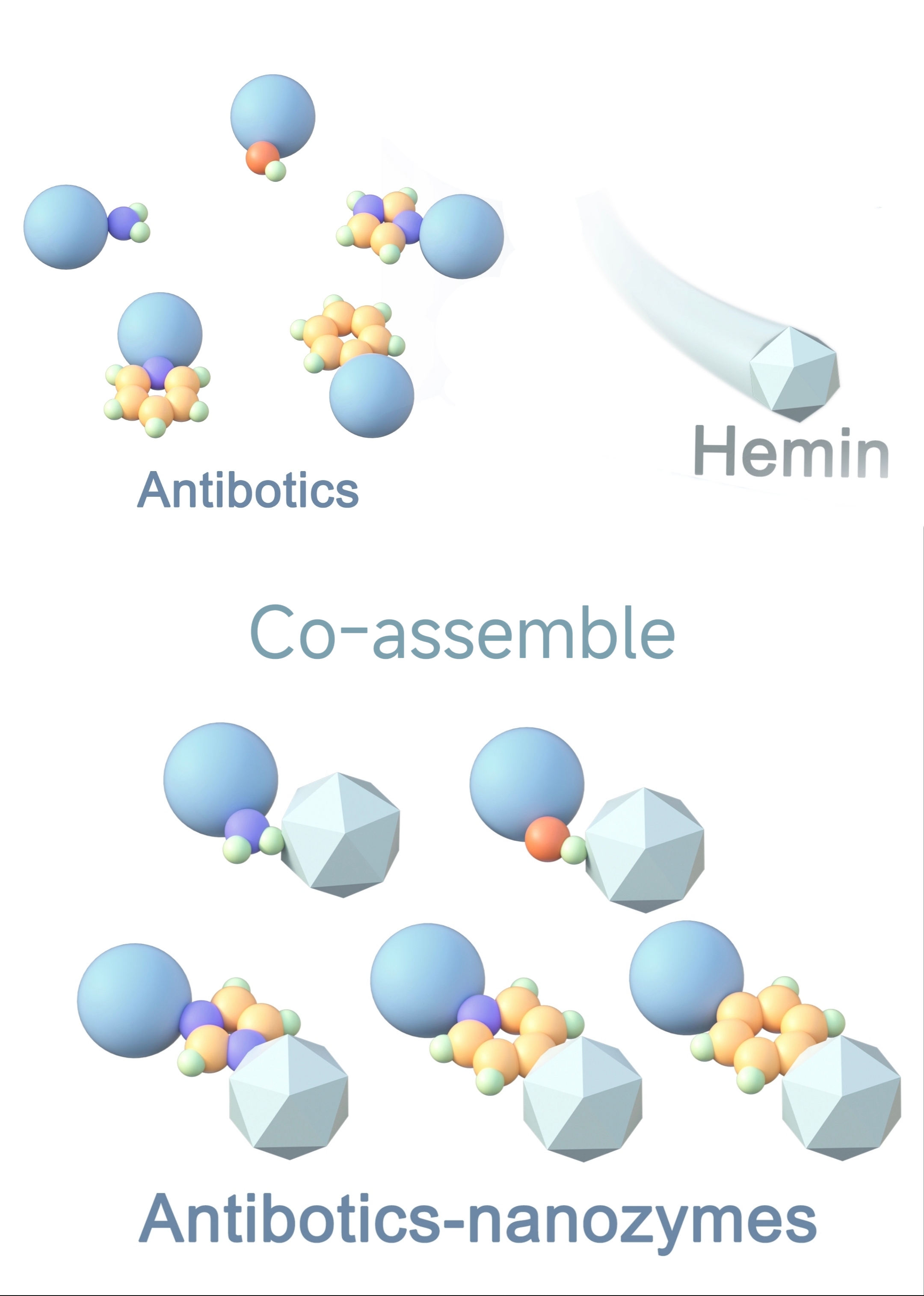 Fig. 3. Assembly of antibiotics and hemin