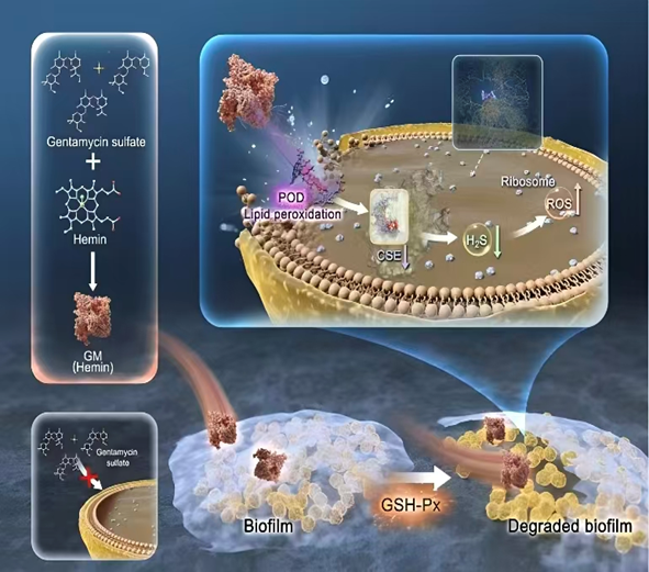Fig. 4. Antibacterial mechanism of nanozymes