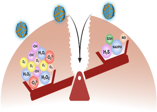 Figure1.5 Formation of nanozyme by binding Hemin to FCZ and the mechanism of action of the nanozyme