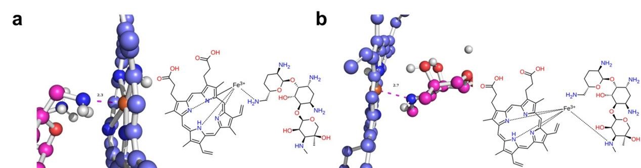 Fig.1 MD simulation of GM (Hemin) co-assembly based on the unit obtained