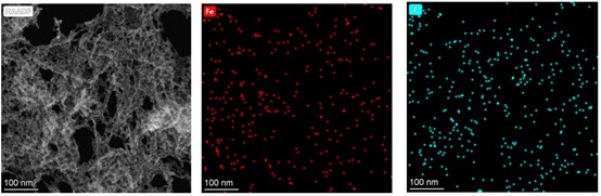 Fig.14 SEM image and element energy spectrum analysis (Fe and F) of FCZ (Hemin)