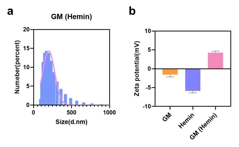 Fig.6 Particle size distribution (a) and Zeta potential (b) of GM (Hemin).