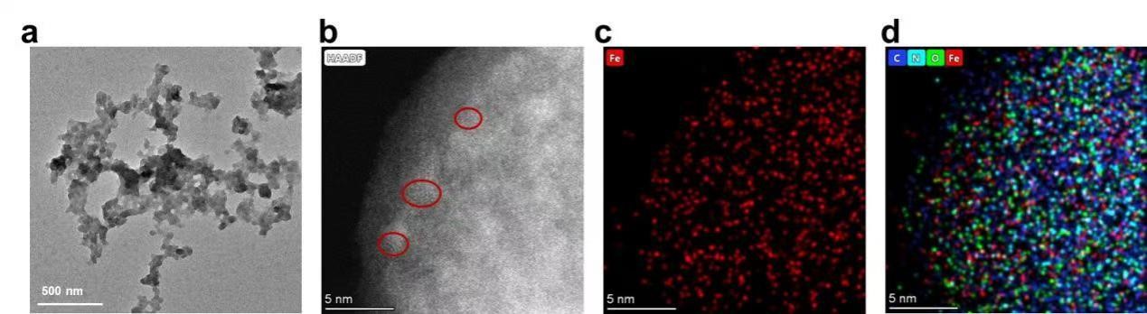 Fig.7 TEM images (a), High-Angle Annular Dark-Field image (b), and EDS (c: Iron; d: Carbon, Nitrogen, Oxygen, Iron) of GM(Hemin)